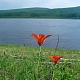 Река Олекма